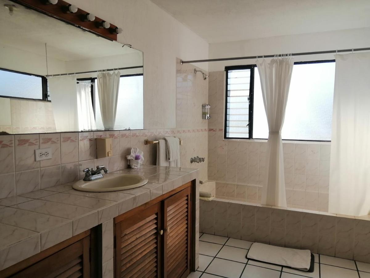 Novohostal B&B Guatemala Dış mekan fotoğraf
